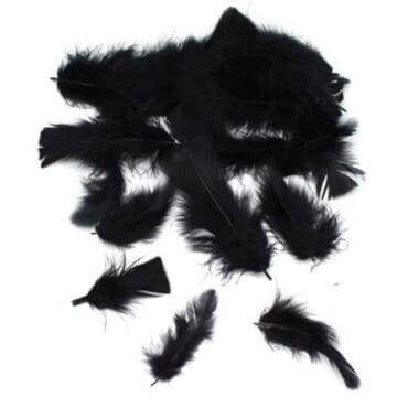 Funlah black feathers