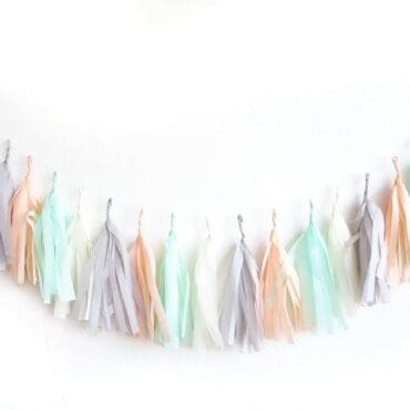 Birthday Party Tassels Peach Mint Grey
