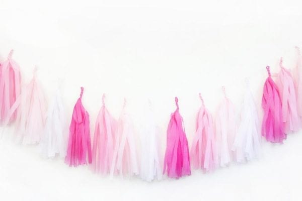 Birthday Party Tassels Pink Ombre
