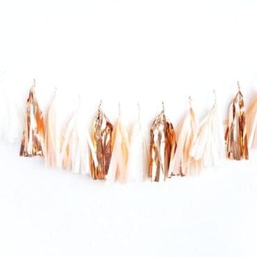 Birthday Party Tassels Rose Peach