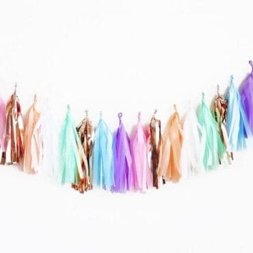 Birthday Party Tassels Rose Rainbow