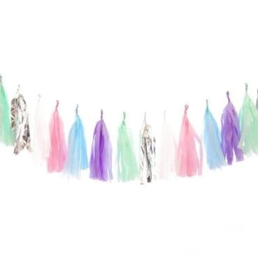 Birthday Party Tassels Silver Rainbow