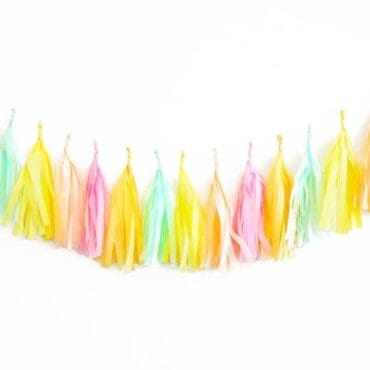 Birthday Party Tassels Summer Rainbow