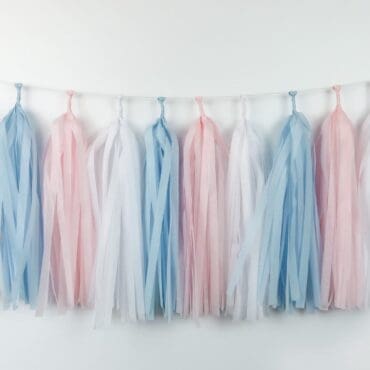 Happy Birthday Party Tassels Blue Pink White Gender Reveal
