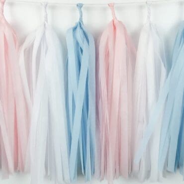Happy Birthday Party Tassels Blue Pink White Gender Reveal