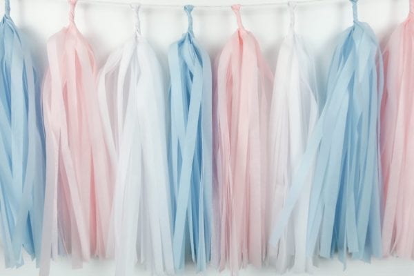 Happy Birthday Party Tassels Blue Pink White Gender Reveal