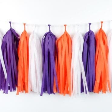 Happy Birthday Party Tassels Purple Orange