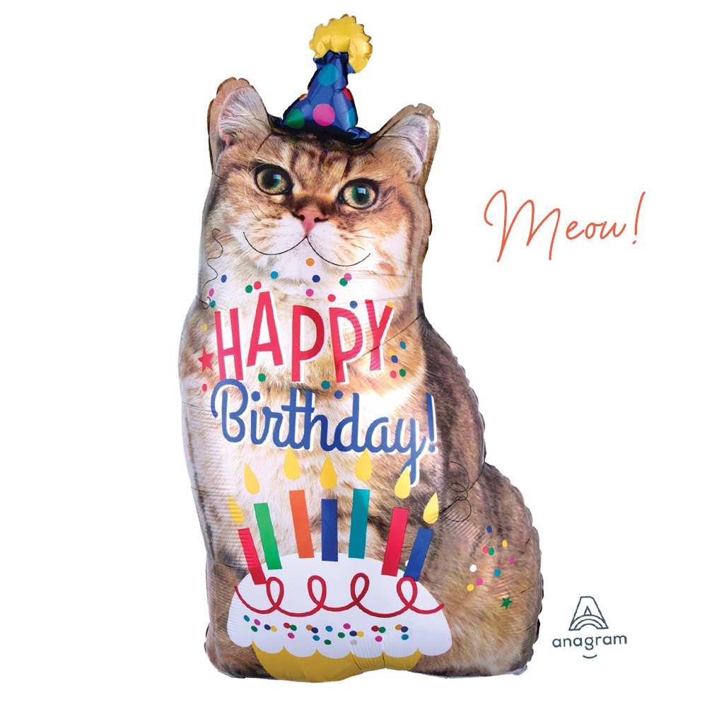 Details about   Anagram Happy Birthday Cats Balloon 18" double sided round