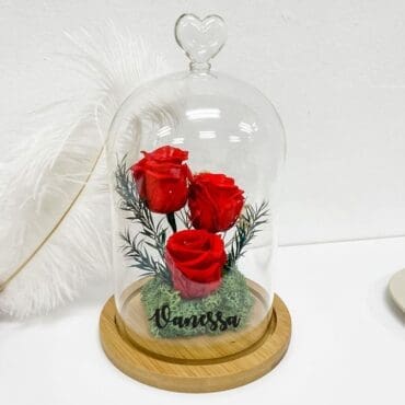 Valentines Preserved Red 3 Rose Belljar
