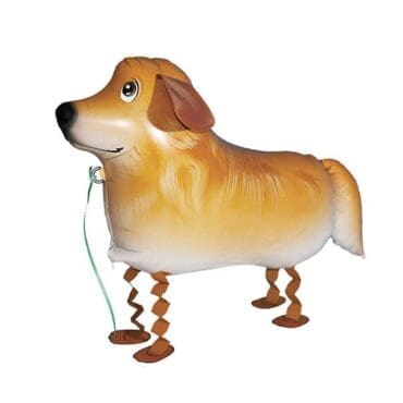 Golden-Retriever-Walking-Pets