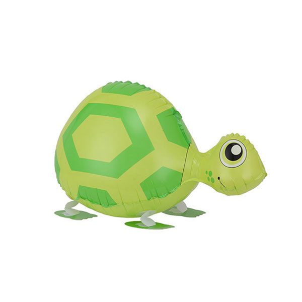 Green-Turtle-Walking-Pet