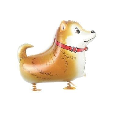 Shiba-Inu-Walking-Pets