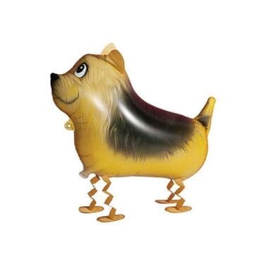 Terrier-Dog-Walking-Pets-Animal-Balloon