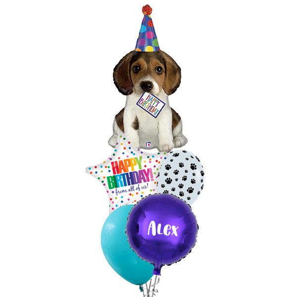 Dog-Party-Hat-Birthday-Balloon-