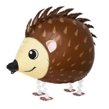 hedgehog walking pets