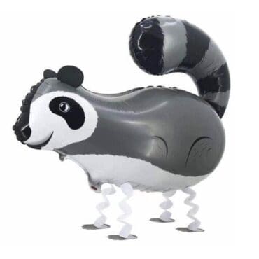 Walking pets balloon racoon