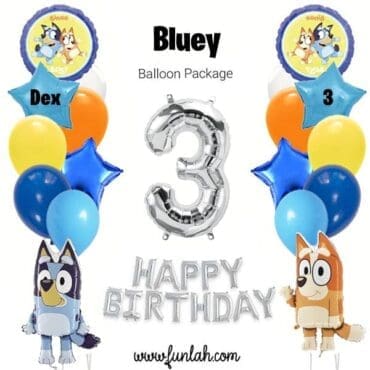 Bluey Bash Balloon Package