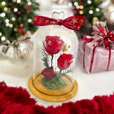 Christmas Preserve Rose Bell Jar