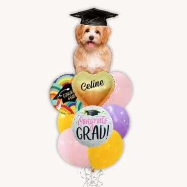 Grad Puppy Balloon Bouquet Classic